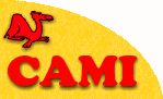 CAMI License Server | Login